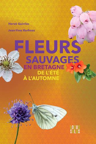 guirriec-herve-3b-kerhoas-jean-yves-fleurs-sauvages-en-bretagne-fleurs-de-l-aree-de-l-ete-a-l-automne_0