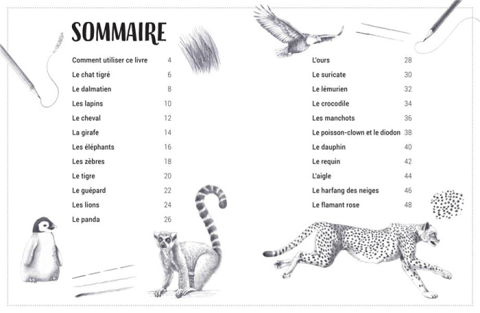 hodge-susie-3b-gray-peter-j-apprends-a-dessiner-les-animaux_0