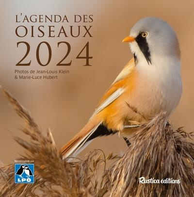 hubert-marie-luce-3b-klein-jean-louis-l-agenda-des-oiseaux-edition-2024_0