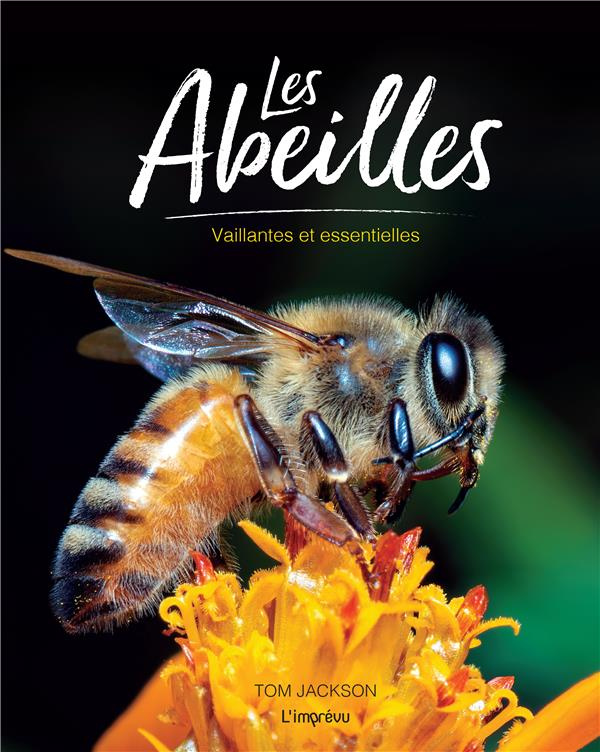 jackson-tom-3b-negre-bouvet-delphine-les-abeilles-vaillantes-et-essentielles_0