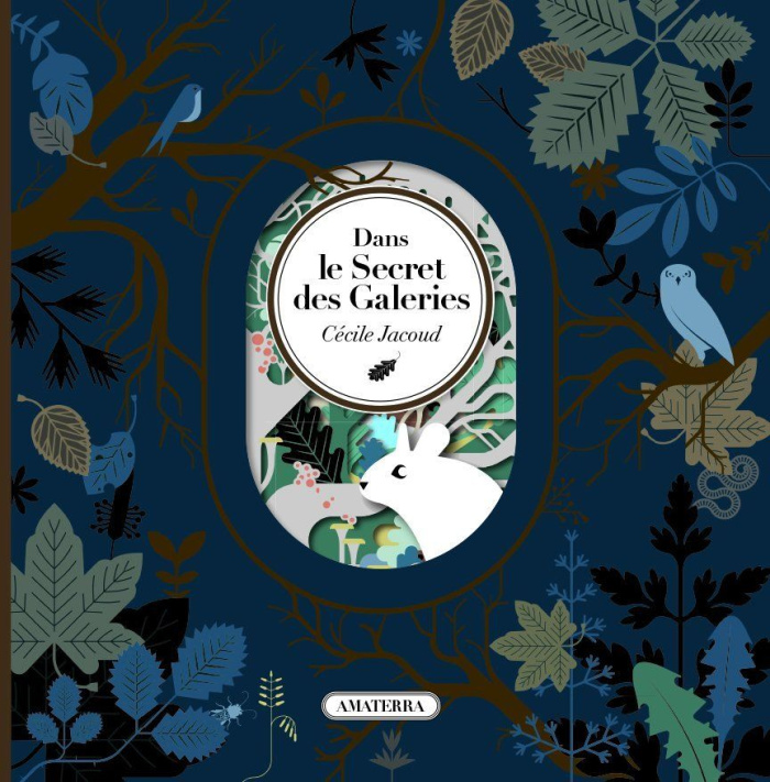 jacoud-cecile-dans-le-secret-des-galeries_0