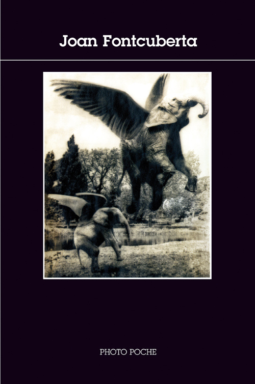 joan-fontcuberta_0