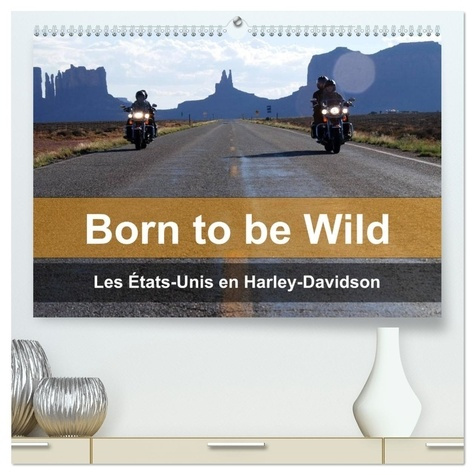 kaercher-mike-born-to-be-wild-etats-unis-en-harley-dav-les-magnifiques-paysages-du-su_0