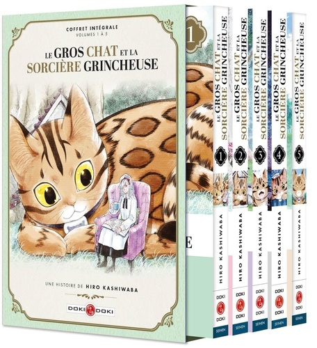 kashiwaba-hiro-le-gros-chat-et-la-sorciere-grincheuse-coffret-vol-01-a-vol-05_0