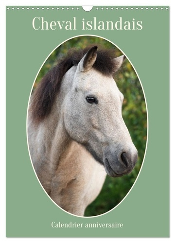 kohrt-stephanie-cheval-islandais-calendrier-anniversaire-calendrier-mural-2026-din-a3-horizontal-calvendo-calen_0