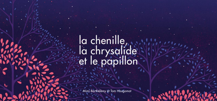 la-chenille-la-chrysalide-et-le-papillon_0