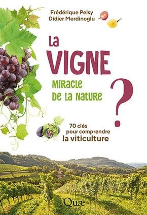 la-vigne-miracle-de-la-nature_0