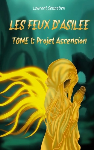 laurent-sebastien-les-feux-d-asilee-projet-ascension_0