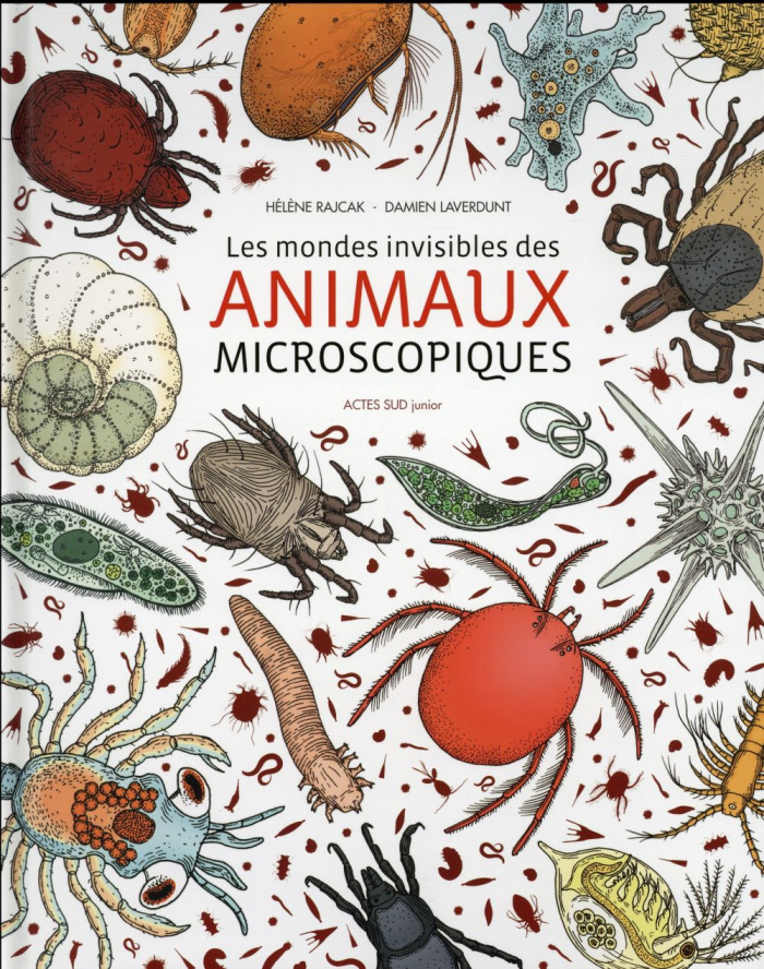 laverdunt-damien-3b-rajcak-helene-3b-rollard-christi-les-mondes-invisibles-des-animaux-microscopiques_0