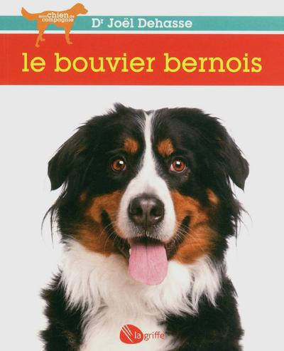 le-bouvier-bernois_0