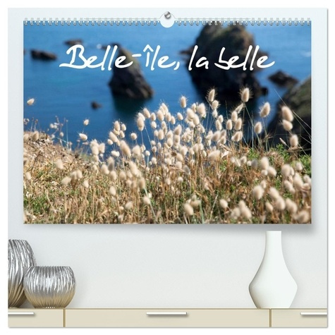 le-goffic-laurence-belle-belle-calendrier-mural-2026-din-a2-belle-le-en-mer-une-le-nature_0