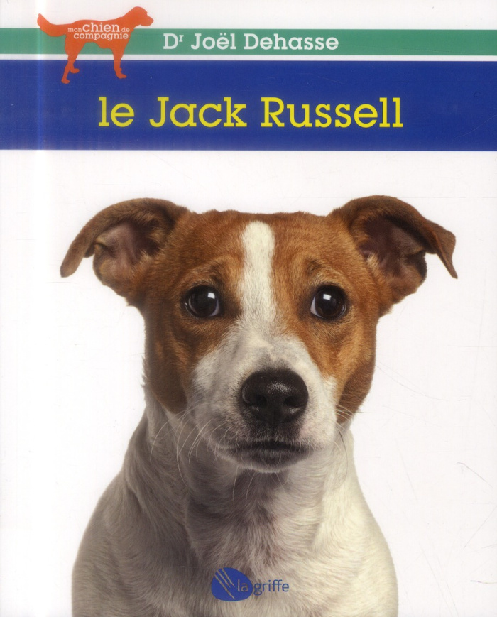 le-jack-russell_0