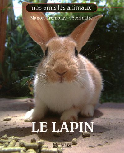 le-lapin_0