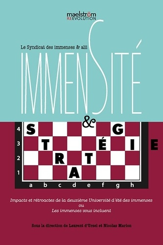 le-syndicat-des-imme-immensite-strategie-le-syndicat-des-immenses_0