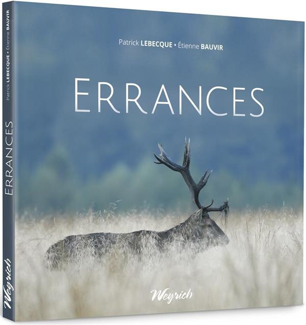 lebecque-bauvir-errances_0