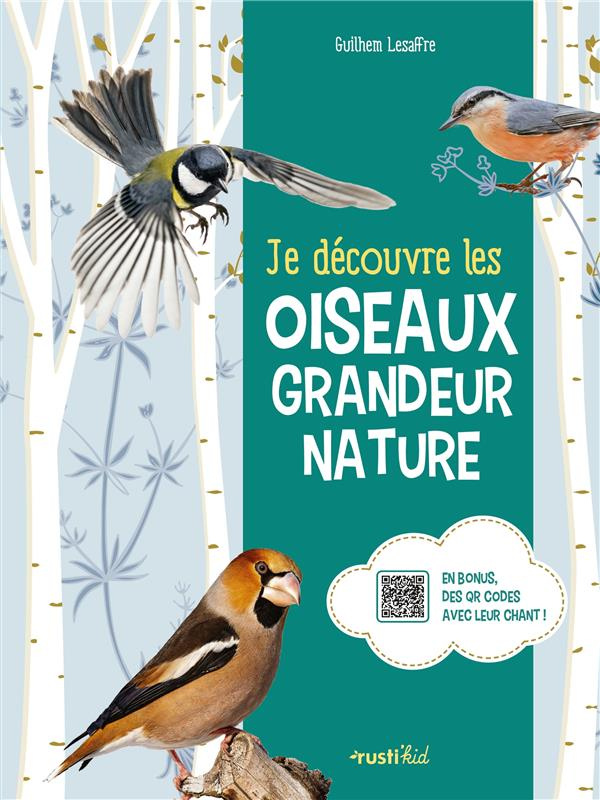 lesaffre-guilhem-3b-deroussen-fernand-je-decouvre-les-oiseaux-grandeur-nature_0