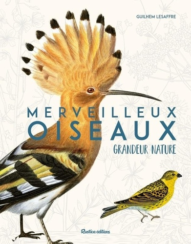 lesaffre-guilhem-merveilleux-oiseaux-grandeur-nature_0