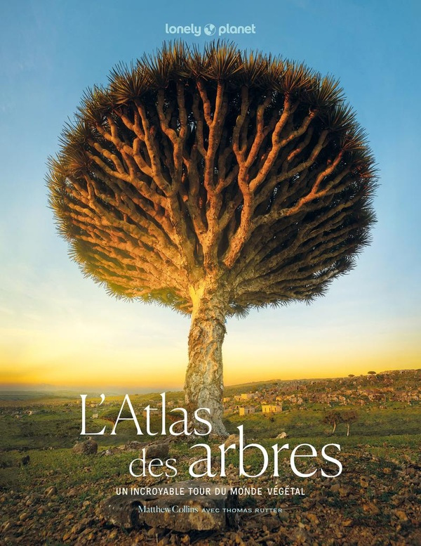lonely-planet-l-atlas-des-arbres-un-incroyable-tour-du-monde-vegetal_0