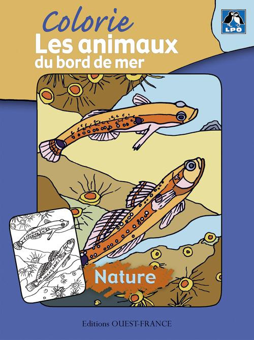 lpo-collectif-les-animaux-du-bord-de-mer_0
