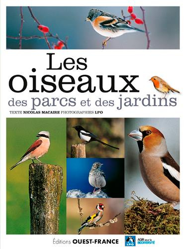 macaire-nicolas-les-oiseaux-des-parcs-et-des-jardins-de-l-accenteur-mouchet-au-verdier-d-europe_0