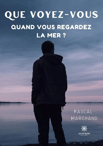 marchand-pascal-que-voyez-vous-quand-vous-regardez-la-mer_0