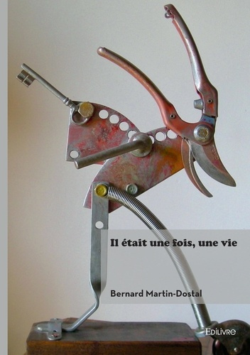martin-dostal-bernard-il-etait-une-fois-une-vie_0