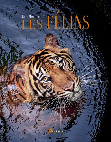 menoret-eric-les-felins_0