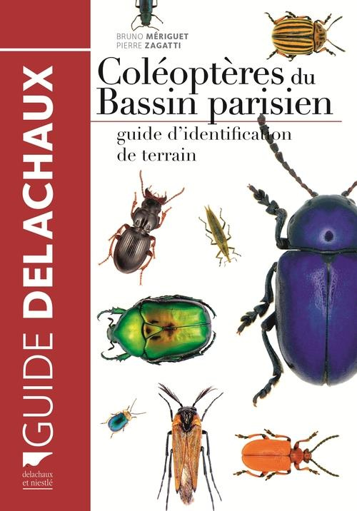 meriguet-bruno-3b-zagatti-pierre-coleopteres-du-bassin-parisien-guide-d-identification-de-etrrain_0