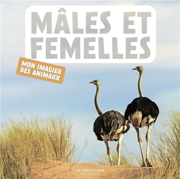 naturagency-males-et-femelles_0