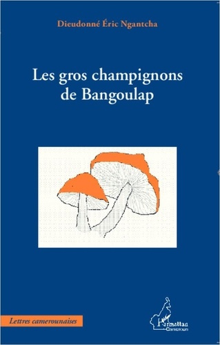 ngantcha-dieudonne-eric-gros-champignons-de-bangoulap_0