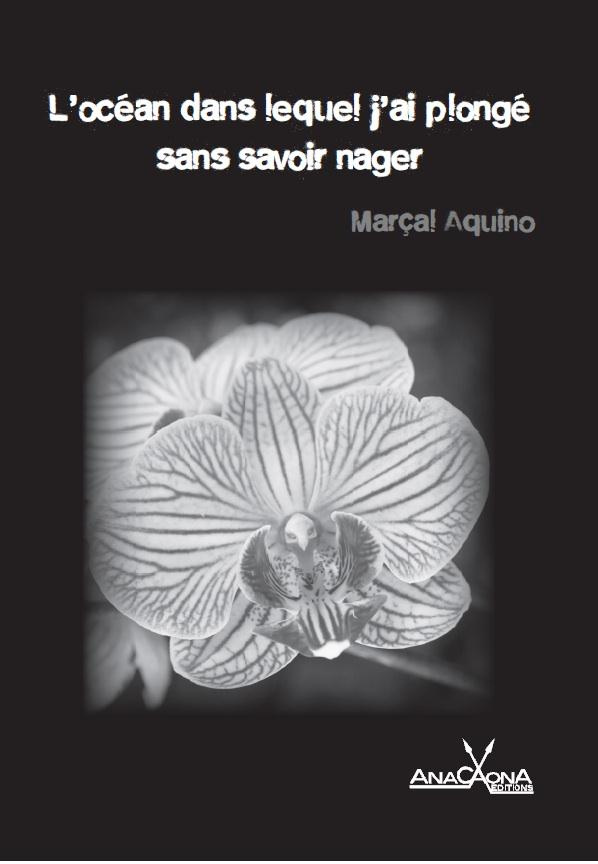 ocean-dans-lequel-j-ai-plonge-sans-savoir-nager-l_0