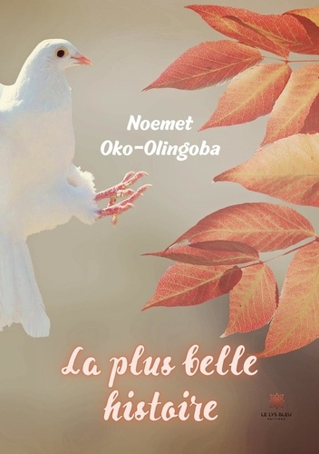 oko-olingoba-noemet-la-plus-belle-histoire_0
