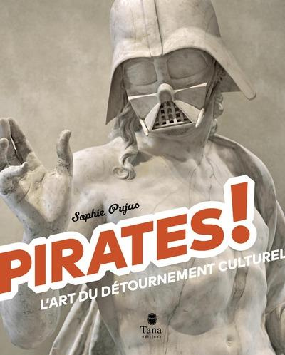 pirates-l-art-du-detournement-culturel_0