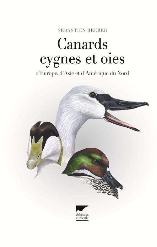 reeber-sebastien-canards-cygnes-et-oies-d-europe-d-asie-et-d-amerique-du-nord_0