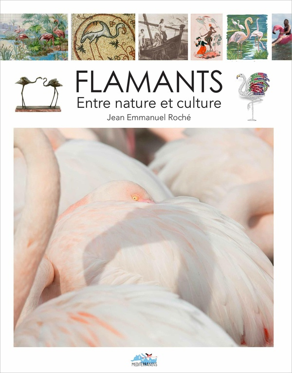 roche-jean-emmanuel-flamant-entre-nature-et-culture_0