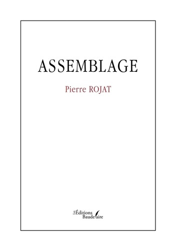 rojat-pierre-assemblage_0