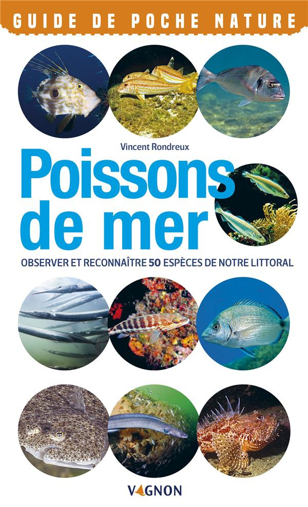 rondreux-vincent-poissons-de-mer-observer-et-reconnaitre-50-especes-de-notre-littoral_0