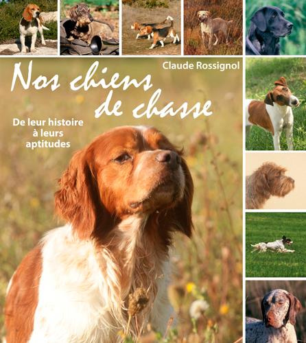 rossignol-claude-nos-chiens-de-chasse-de-leur-histoire-a-leurs-aptitudes_0
