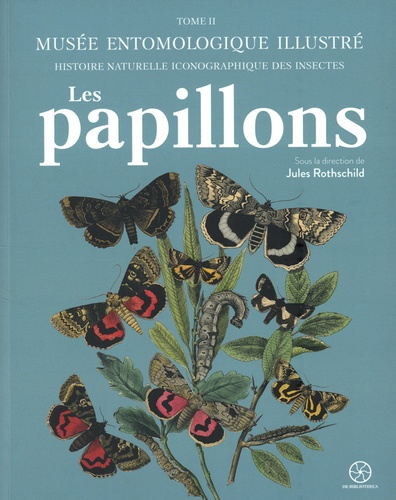rotschild-j-musee-entomologique-illustre-tome-2-les-papillons_0