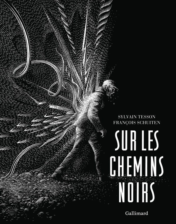 schuiten-francois-tesson-sylvain-sur-les-chemins-noirs-edition-illustree_0