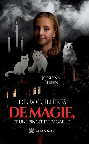 stefen-josslynn-deux-cuilleres-de-magie-et-une-pincee-de-pagaille_0