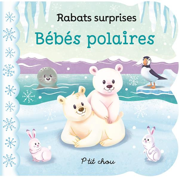 swift-ginger-3b-silverstein-ariel-bebes-polaires_0