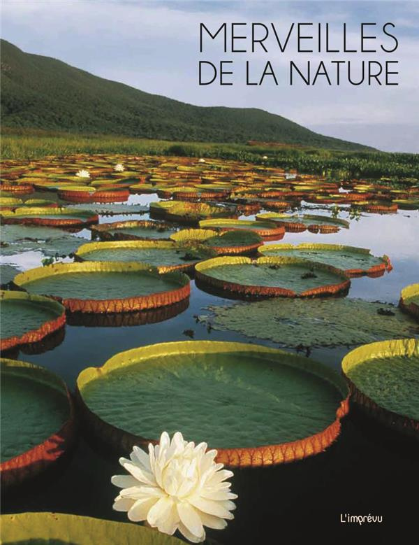 thoreau-sophie-merveilles-de-la-nature_0