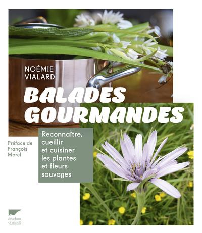 vialard-noemie-3b-morel-francois-balades-gourmandes-reconnaitre-cueillir-et-cuisiner-les-plantes-et-fleurs-sauvages_0