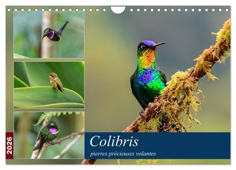 wohlke-jurgen-colibris-pierres-precieuses-volantes-calendrier-mural-2026-din-a4-vertical-calvendo-calendrier_0