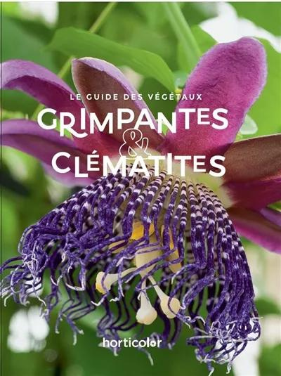xxx-grimpantes-clematites-le-guide-des-vegetaux_0