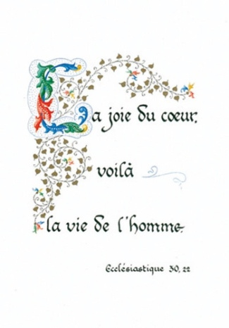 Pack enluminure an249 10ex