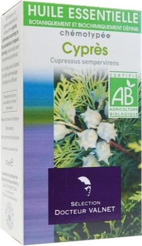 CYPRES - CUPRESSUS SEMPERVIRENS