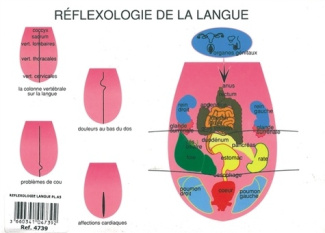 Réflexologie de la langue