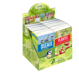 BOITE 30 EX - P TIT ARTEMIS
